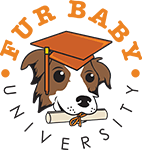 Fur Baby University